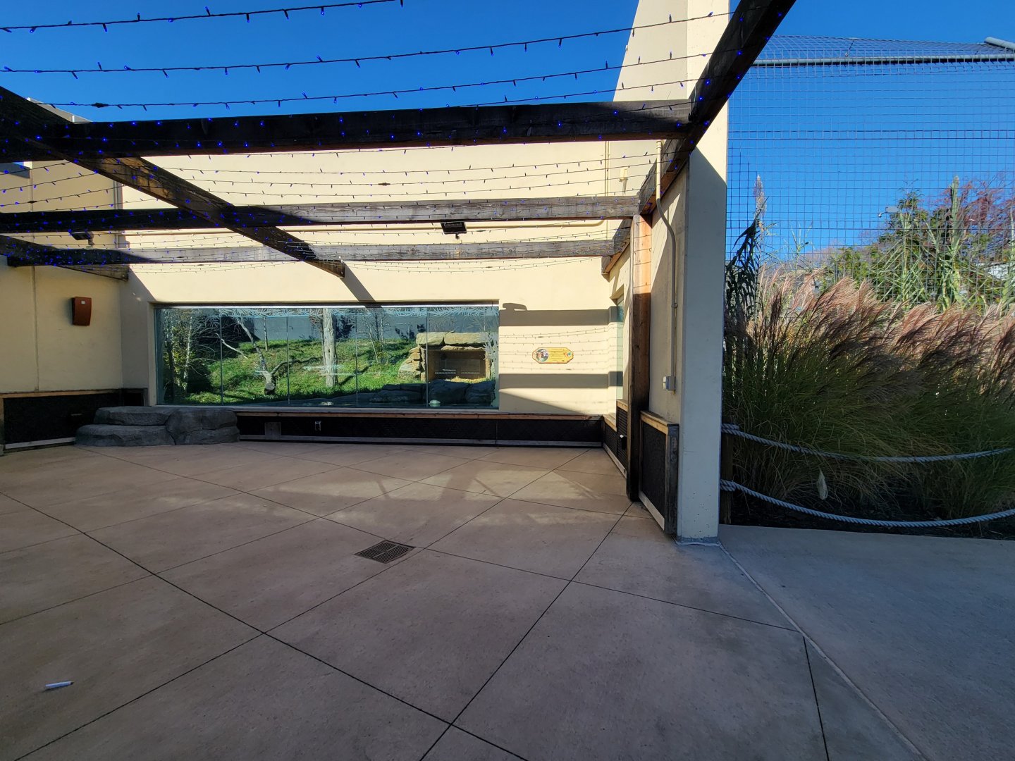 Akron Zoo - Sumatran tiger second exhibit