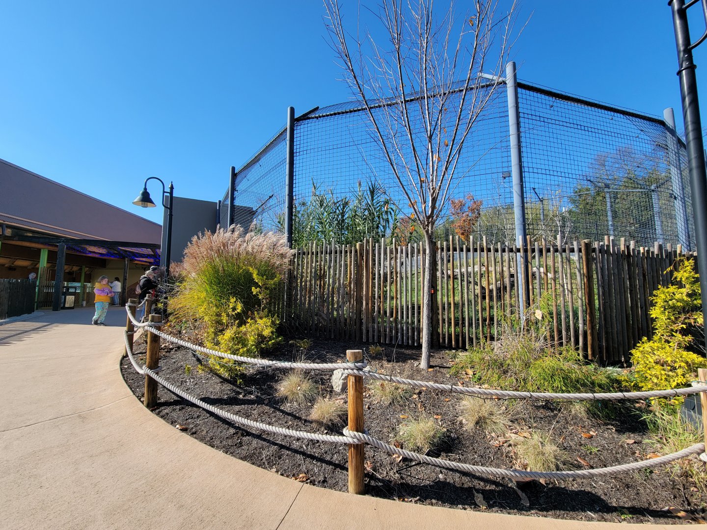 Akron Zoo - Sumatran tiger second exhibit
