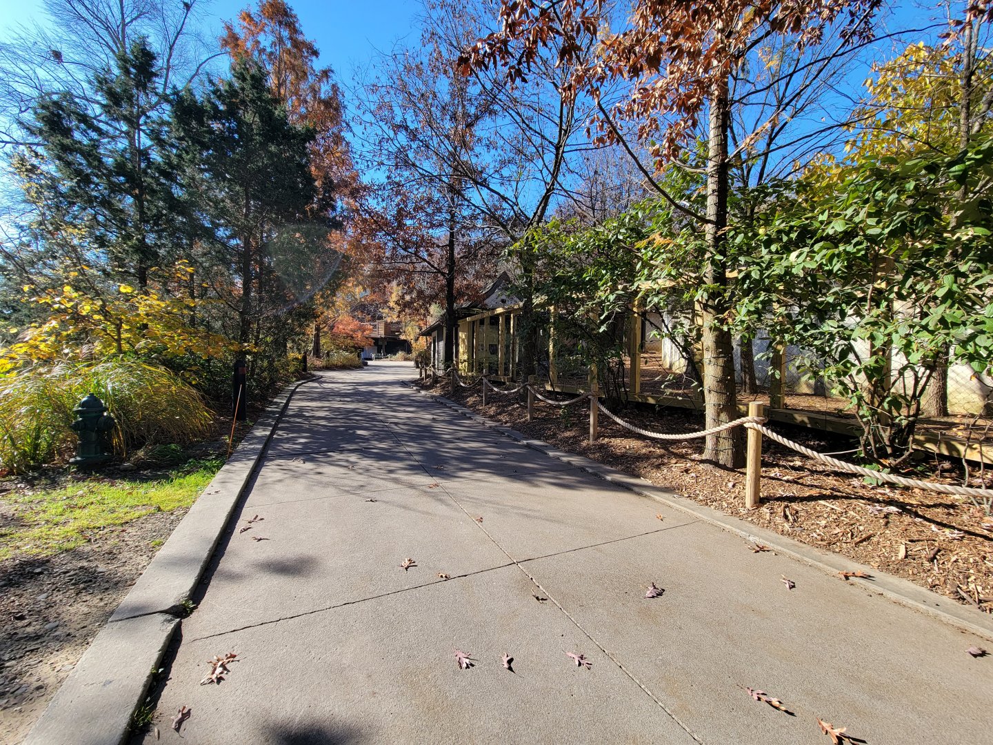 Akron Zoo - Tufted deer exhibit on right