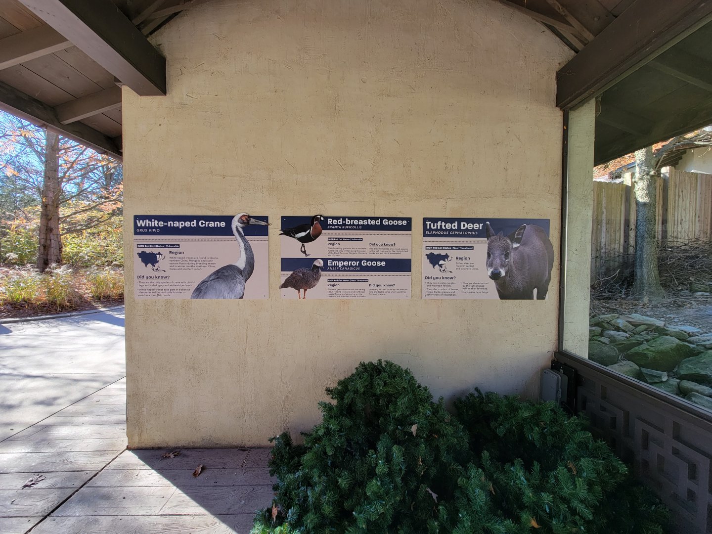 Akron Zoo - Tufted deer exhibit signage