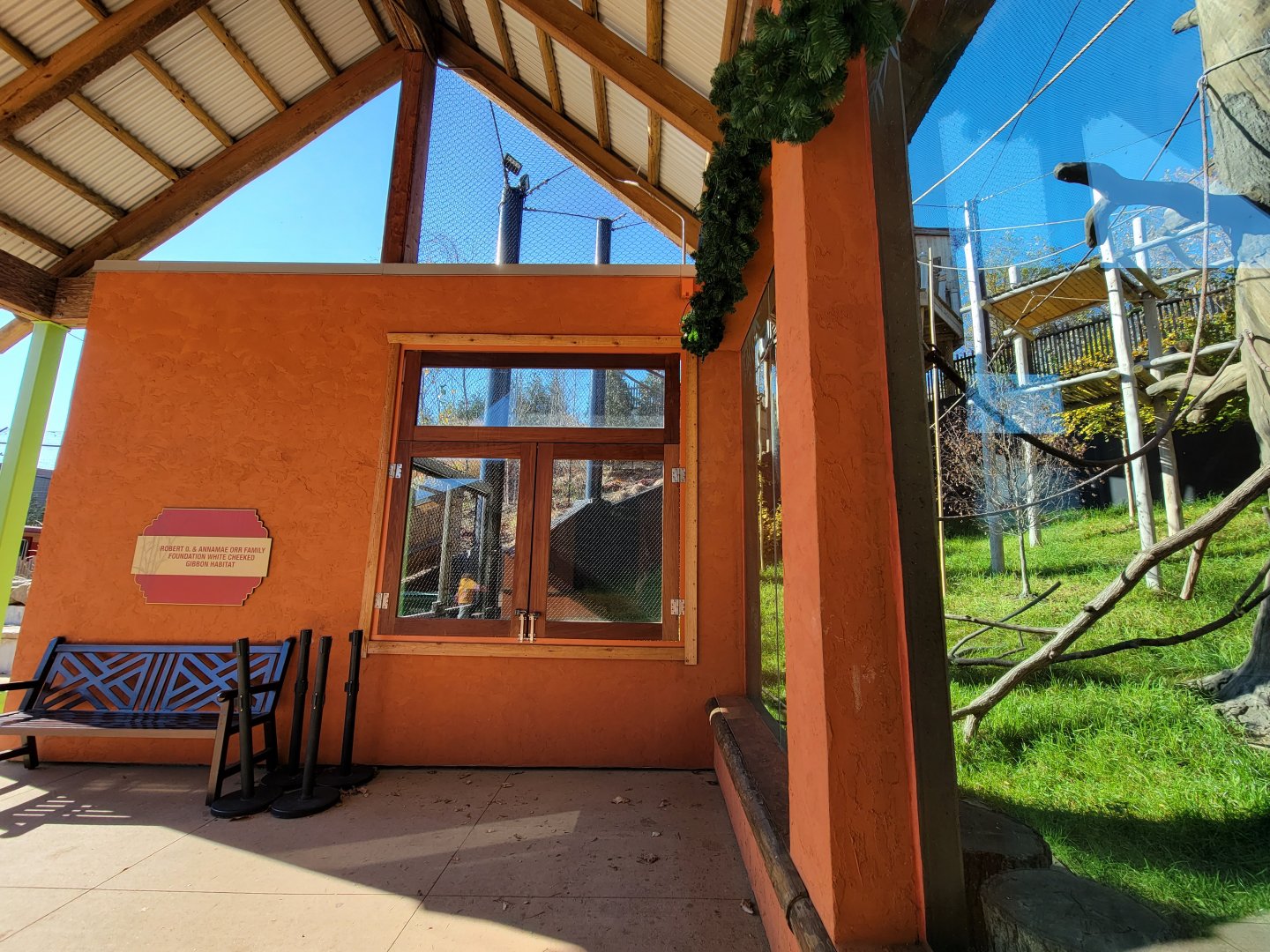Akron Zoo - White-cheeked gibbon exhibit