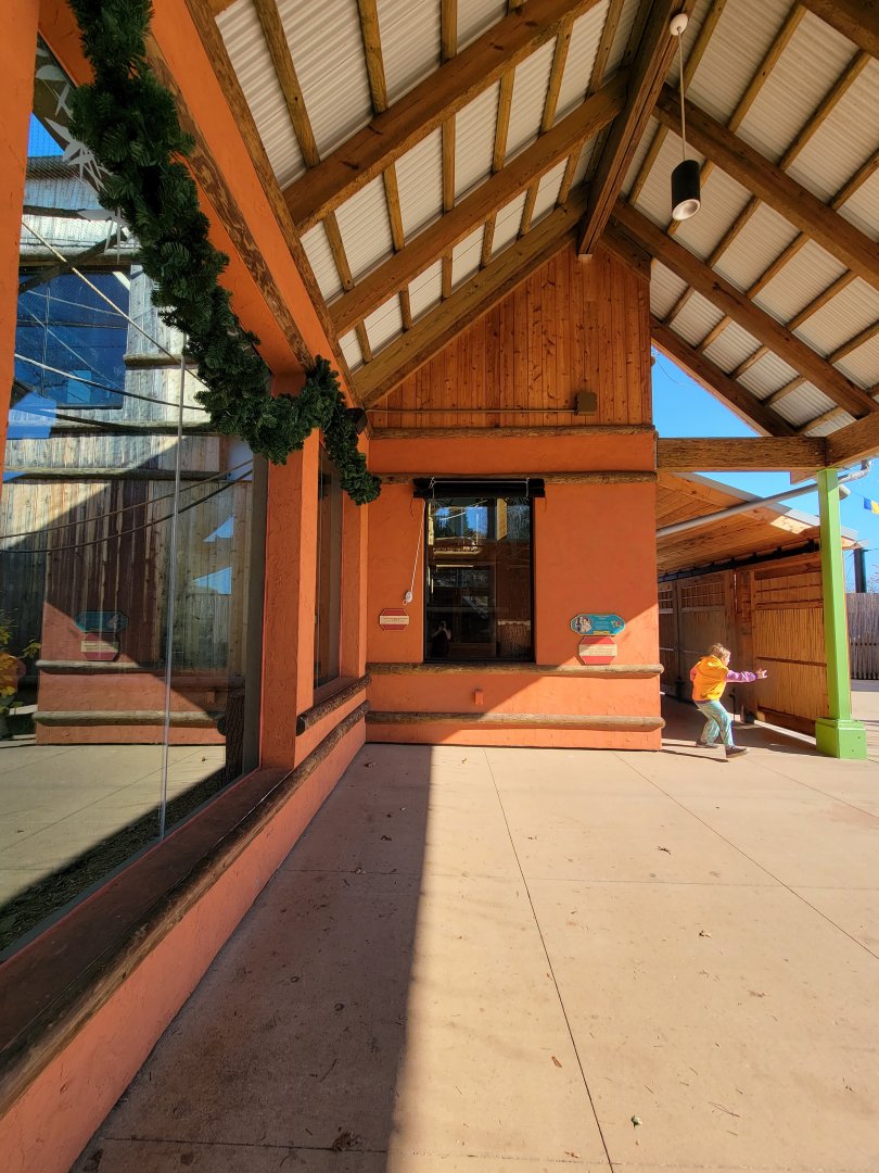 Akron Zoo - White-cheeked gibbon exhibit