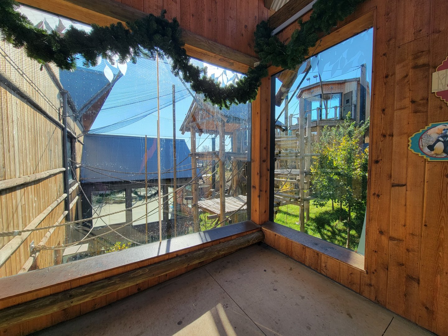 Akron Zoo - White-cheeked gibbon exhibit