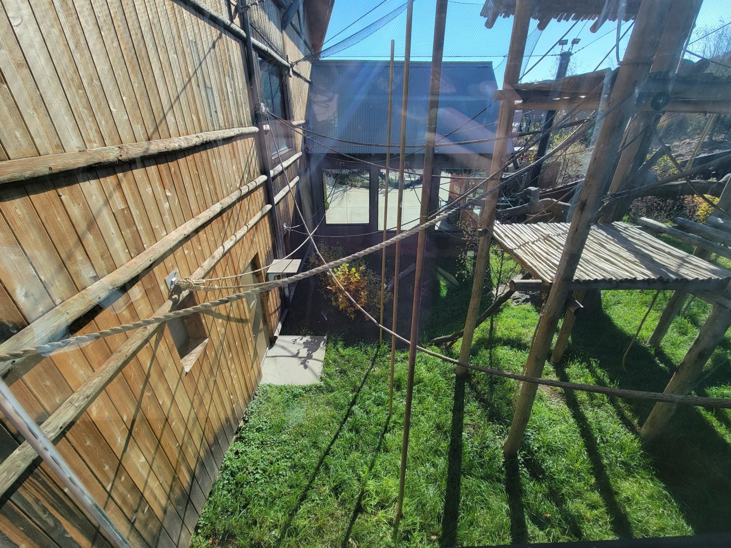 Akron Zoo - White-cheeked gibbon exhibit