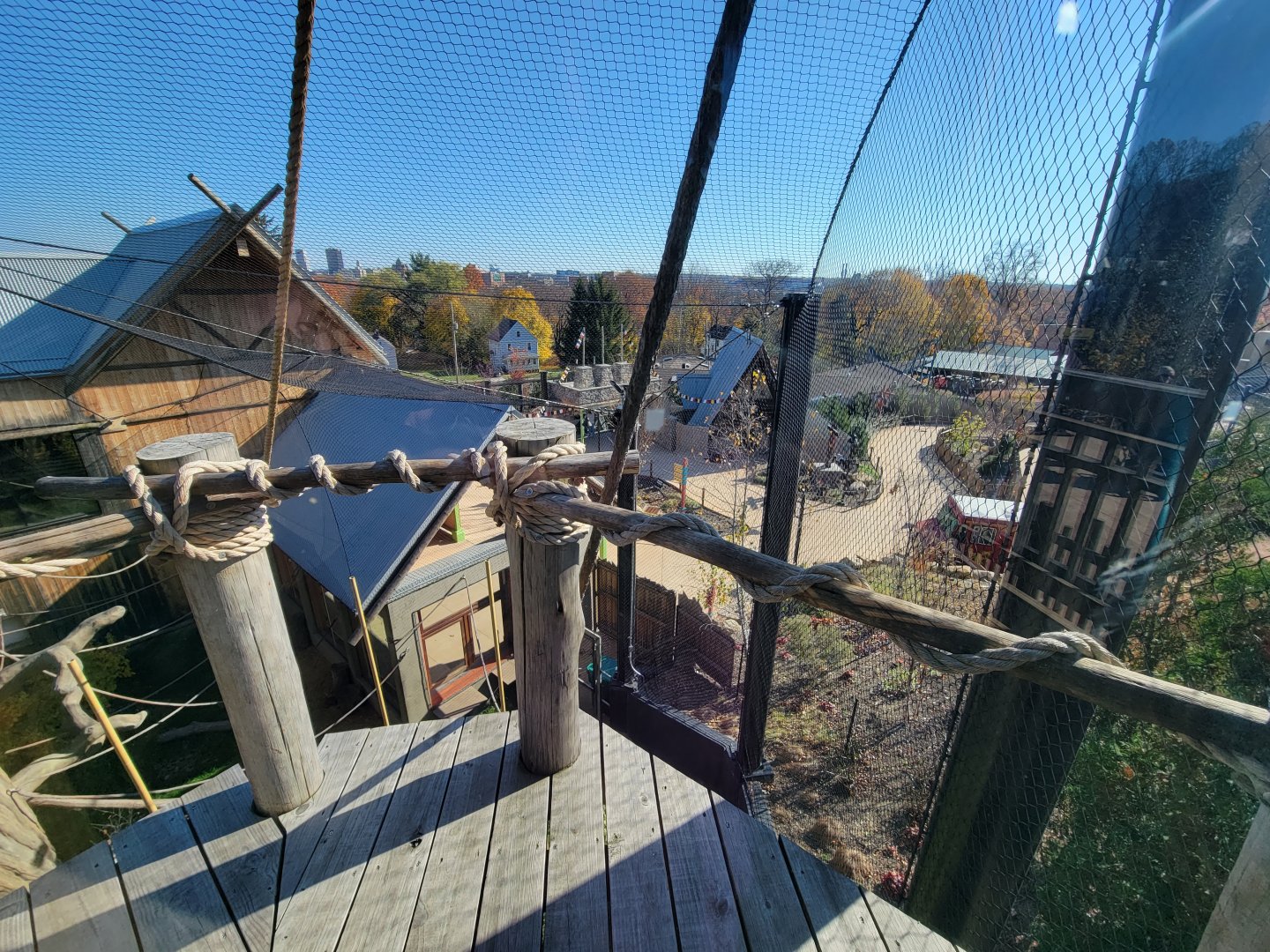 Akron Zoo - White-cheeked gibbon exhibit