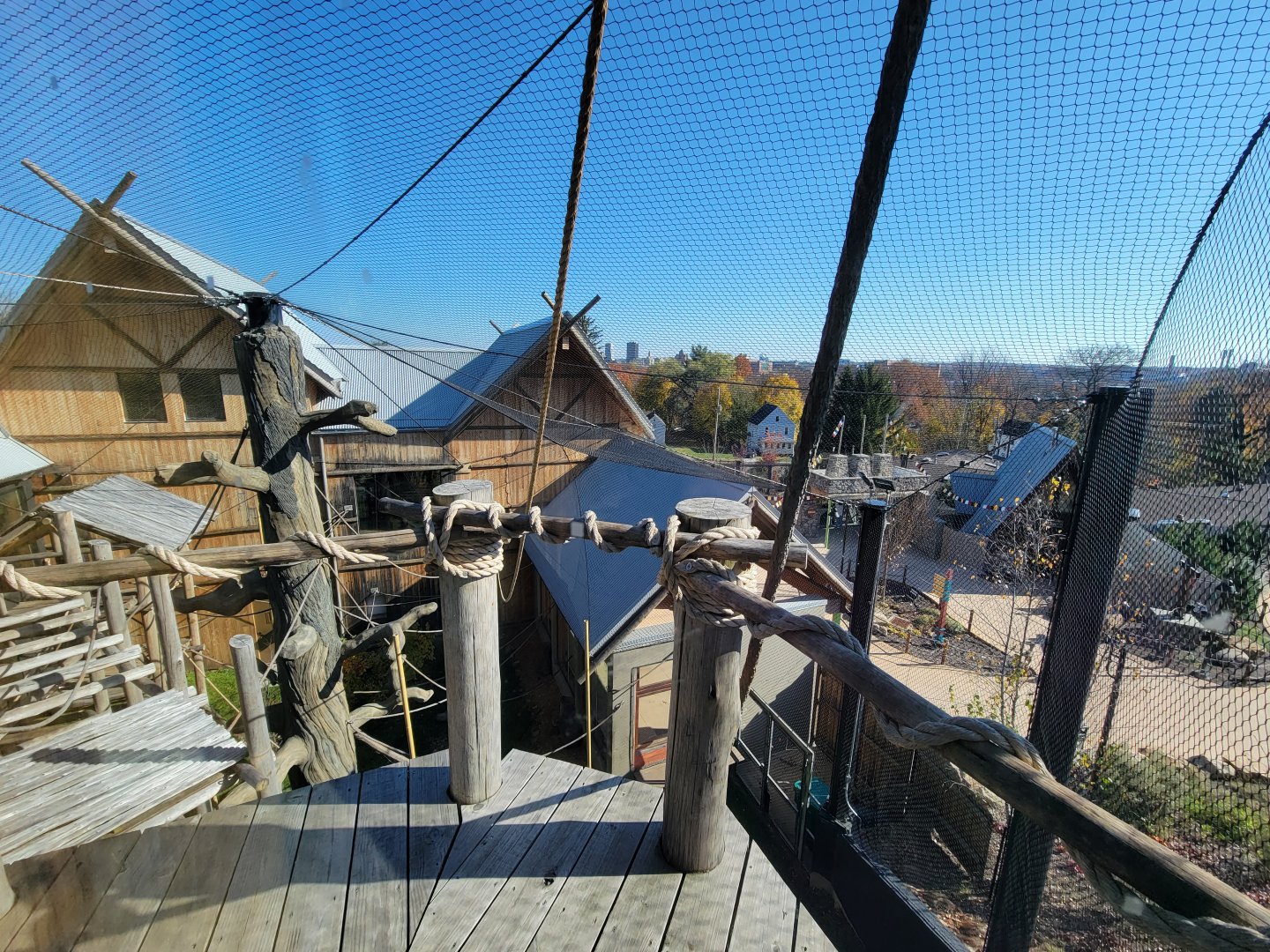 Akron Zoo - White-cheeked gibbon exhibit