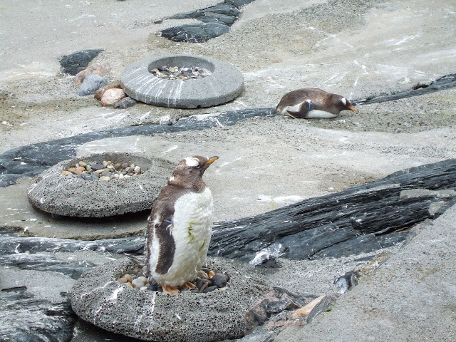 Akvariet Bergen 10.08.2010