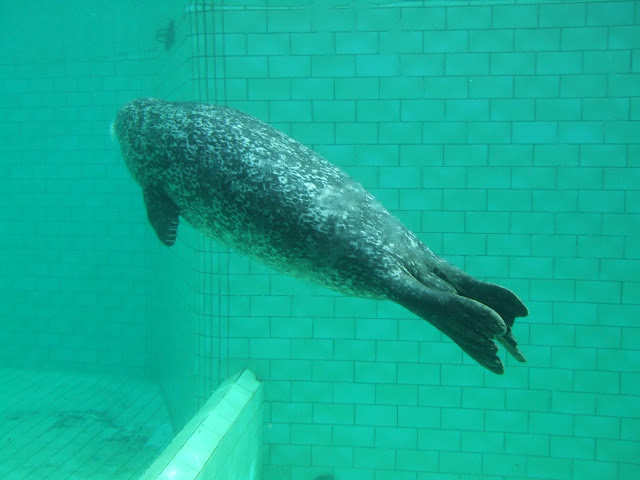 Akvariet Bergen 10.08.2010
