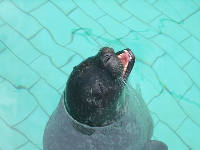 Akvariet Bergen 10.08.2010