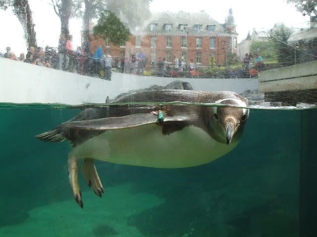 Akvariet Bergen 10.08.2010