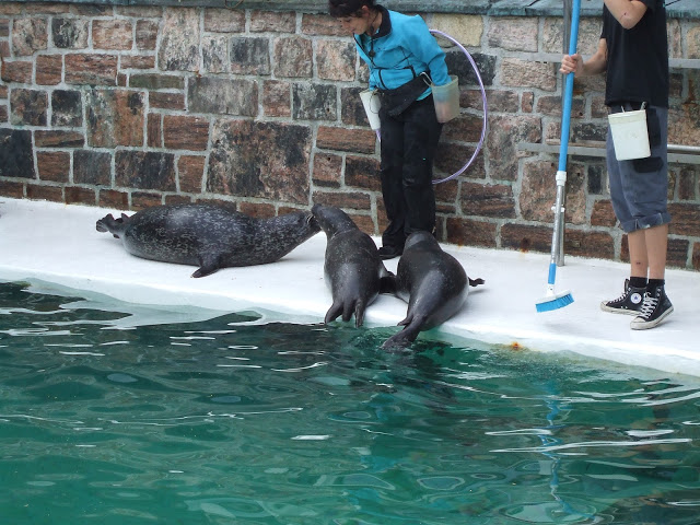 Akvariet Bergen 10.08.2010