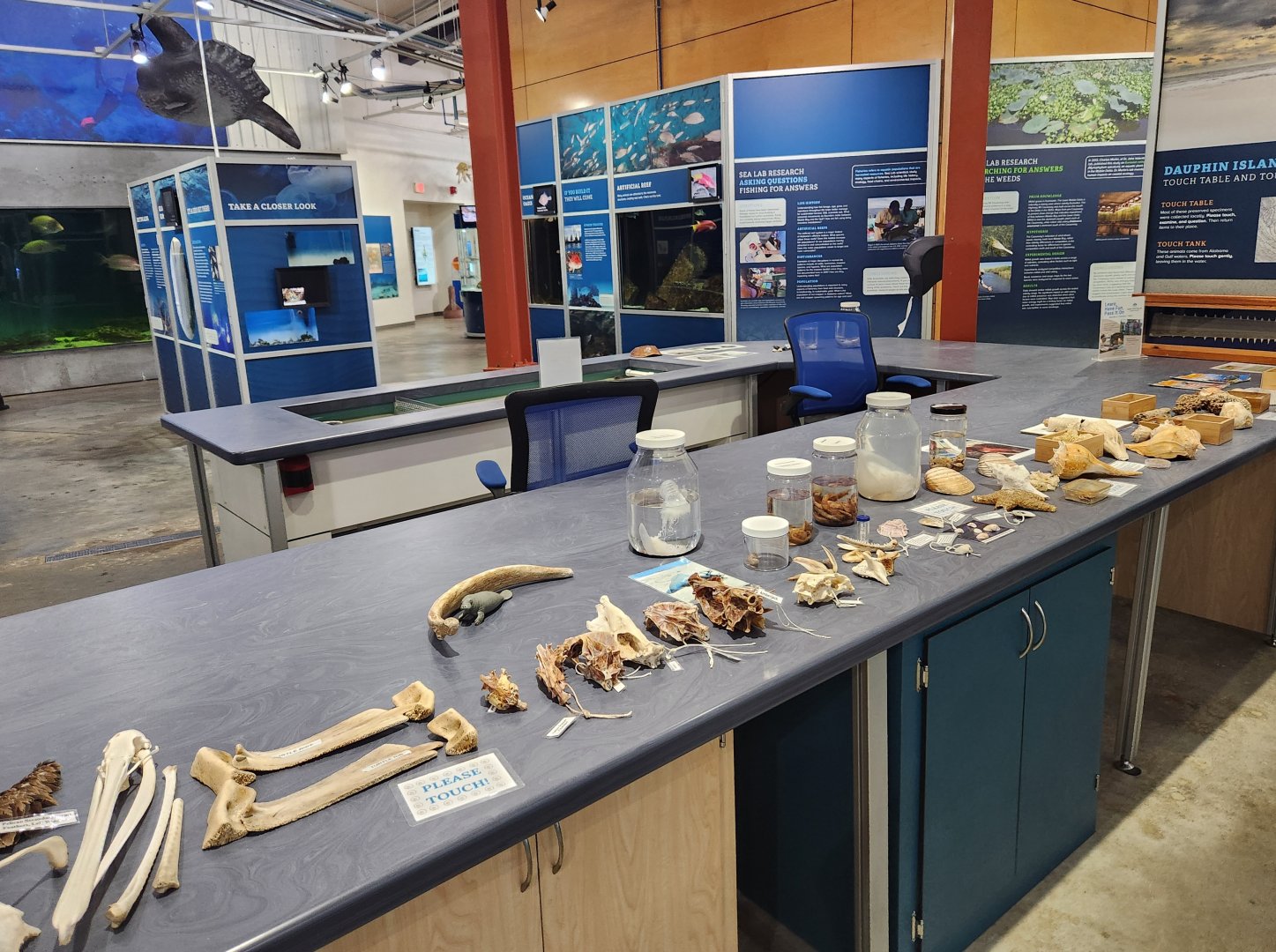 Alabama Aquarium - Sea lab area