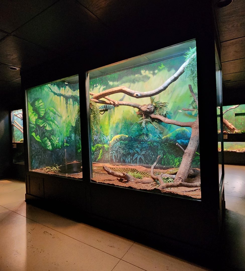 Alabama Gulf Coast Zoo - Anaconda and boa exhibit