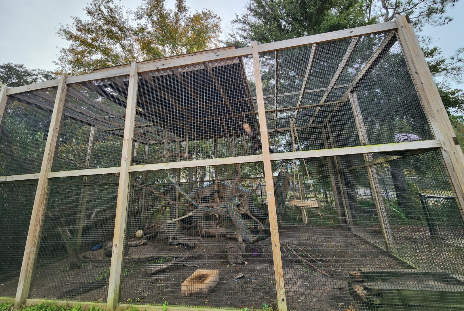 Alabama Gulf Coast Zoo - Capuchin enclosure