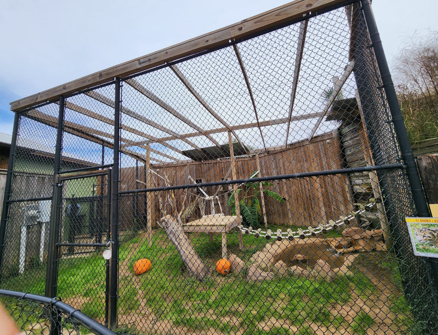 Alabama Gulf Coast Zoo - Clouded Leopard enclosure