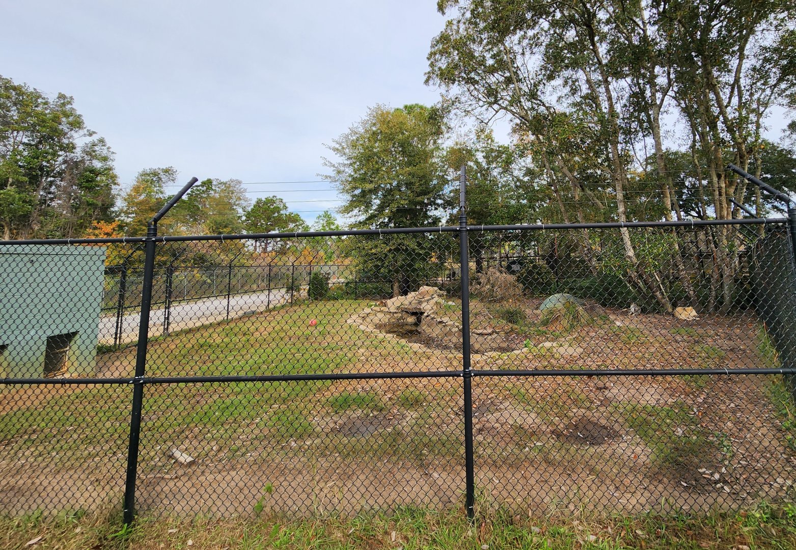 Alabama Gulf Coast Zoo - Gray Wolf enclosure