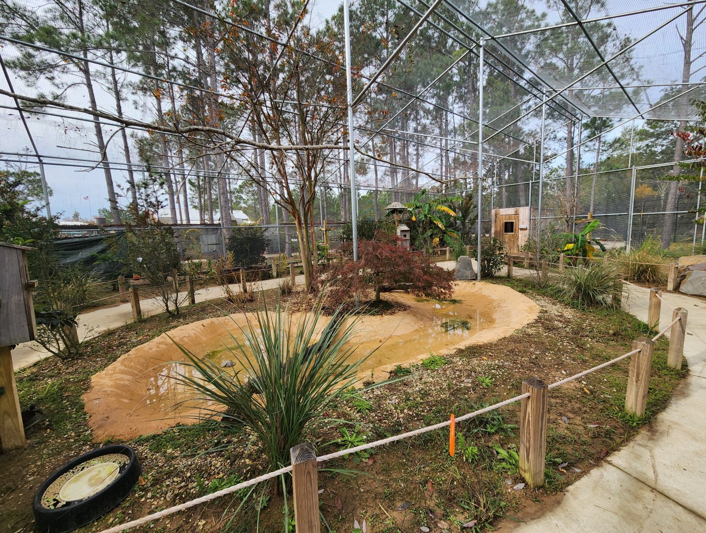 Alabama Gulf Coast Zoo - Inside aviary
