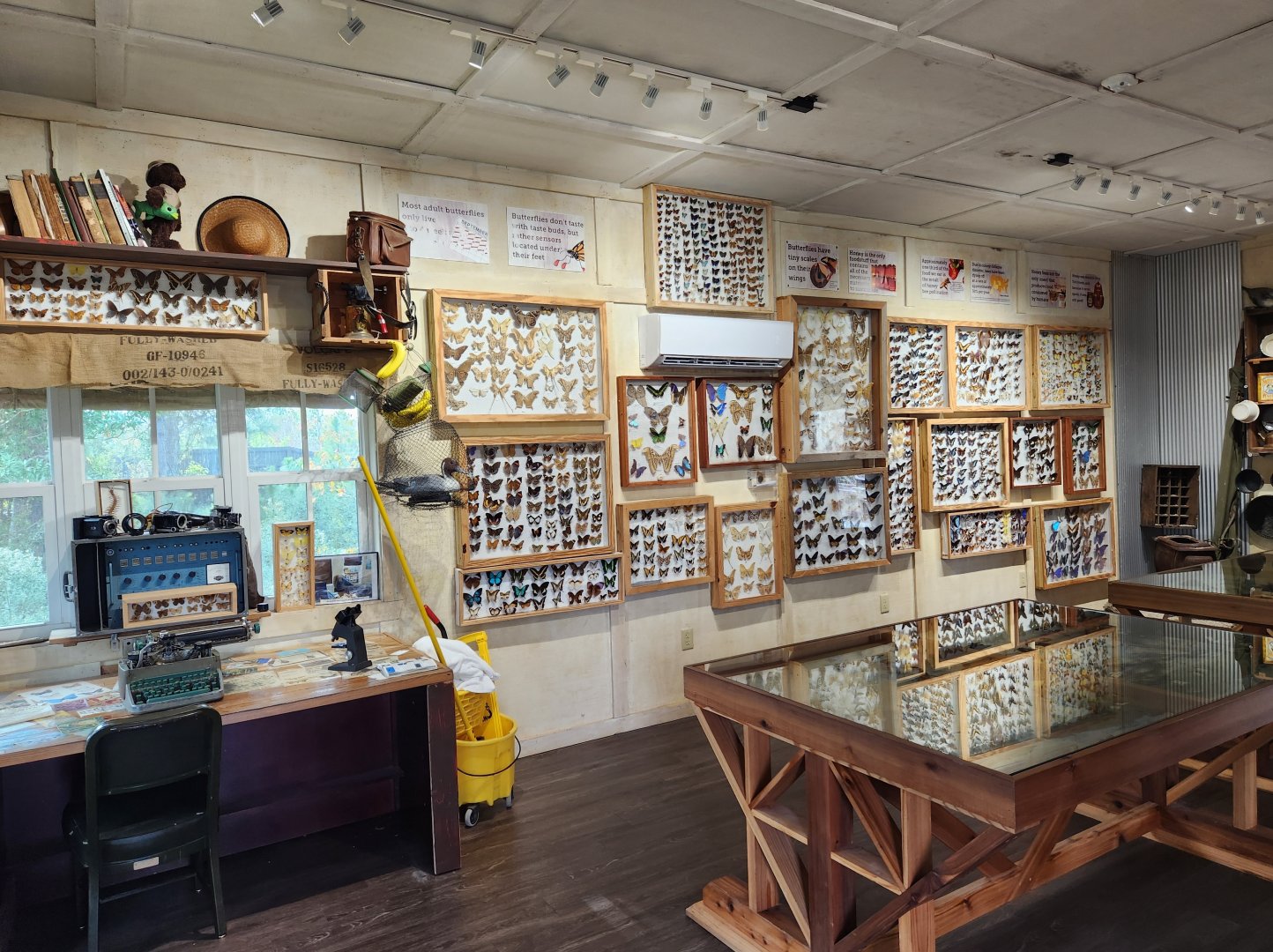 Alabama Gulf Coast Zoo - Inside the butterfly museum