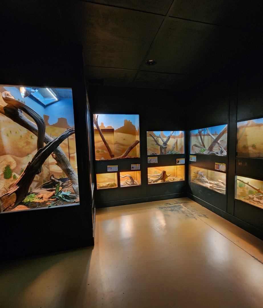 Alabama Gulf Coast Zoo - Inside the reptile house