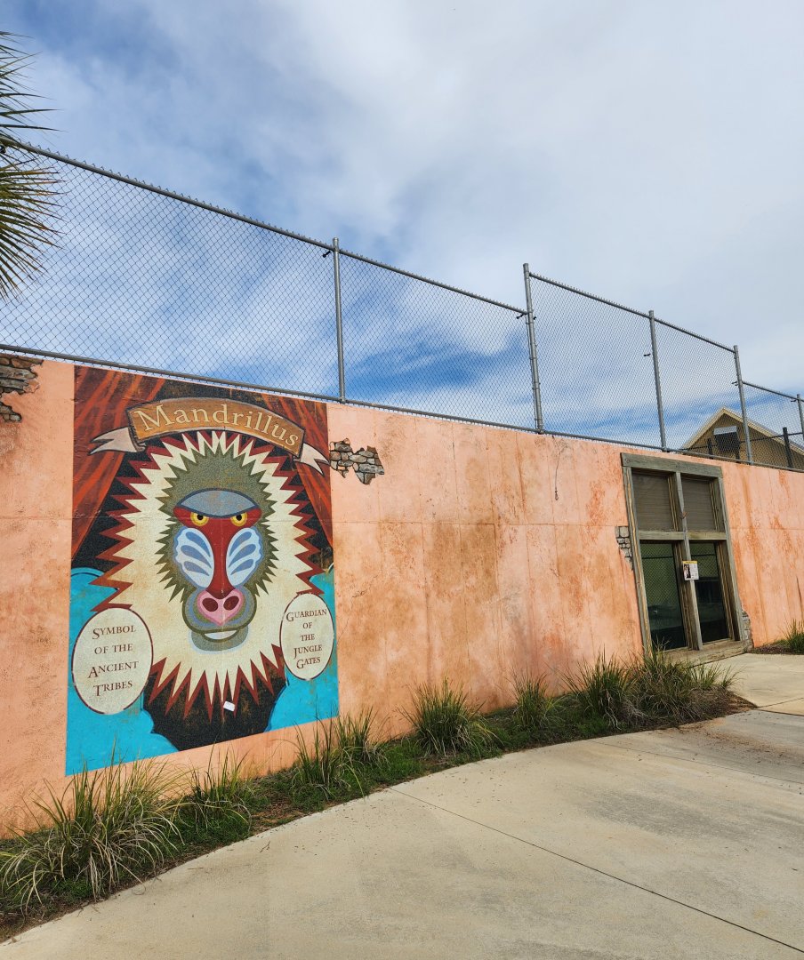 Alabama Gulf Coast Zoo - Lion viewing area