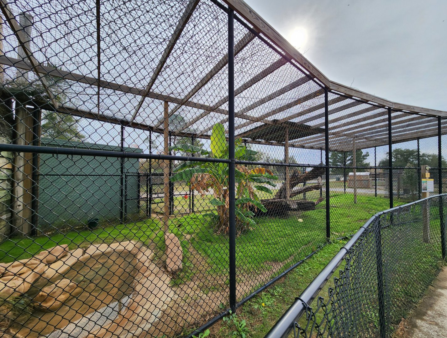Alabama Gulf Coast Zoo - Serval enclosure