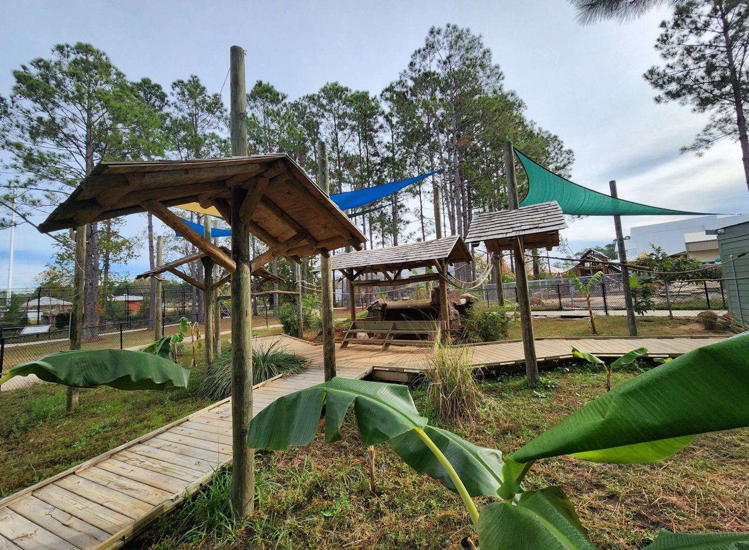 Alabama Gulf Coast Zoo - Sloth exhibit/encounter area