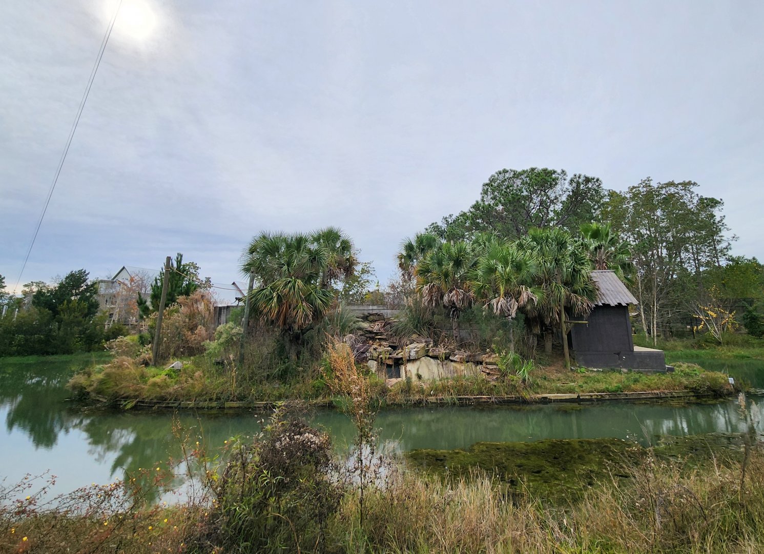 Alabama Gulf Coast Zoo - Spider Monkey exhibit