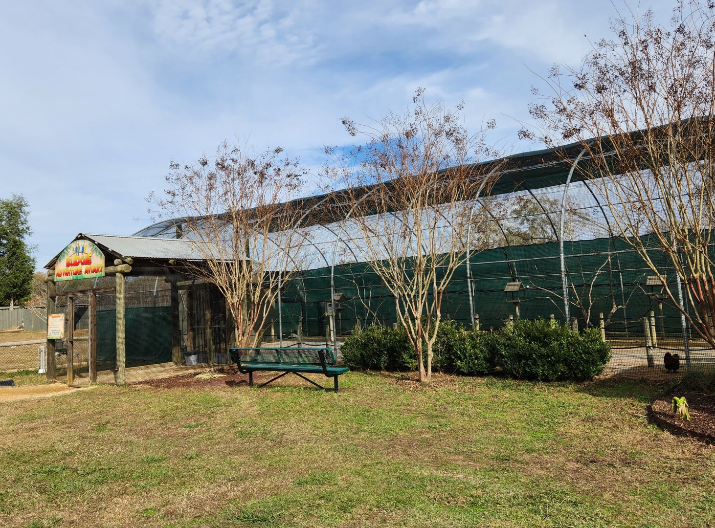 Alabama Safari Park - Budgie aviary