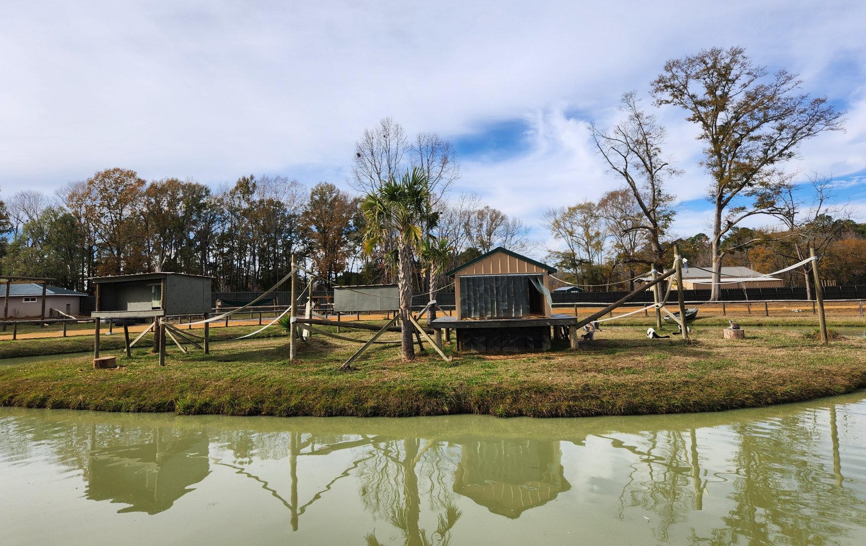 Alabama Safari Park - Lemur island exhibit