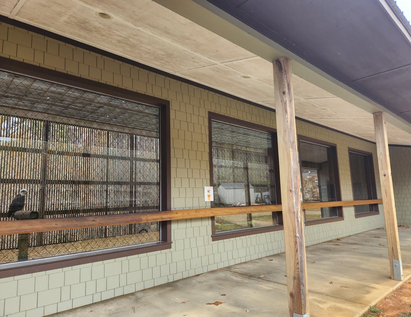 Alabama Wildlife Center - Ambassador animals holding area