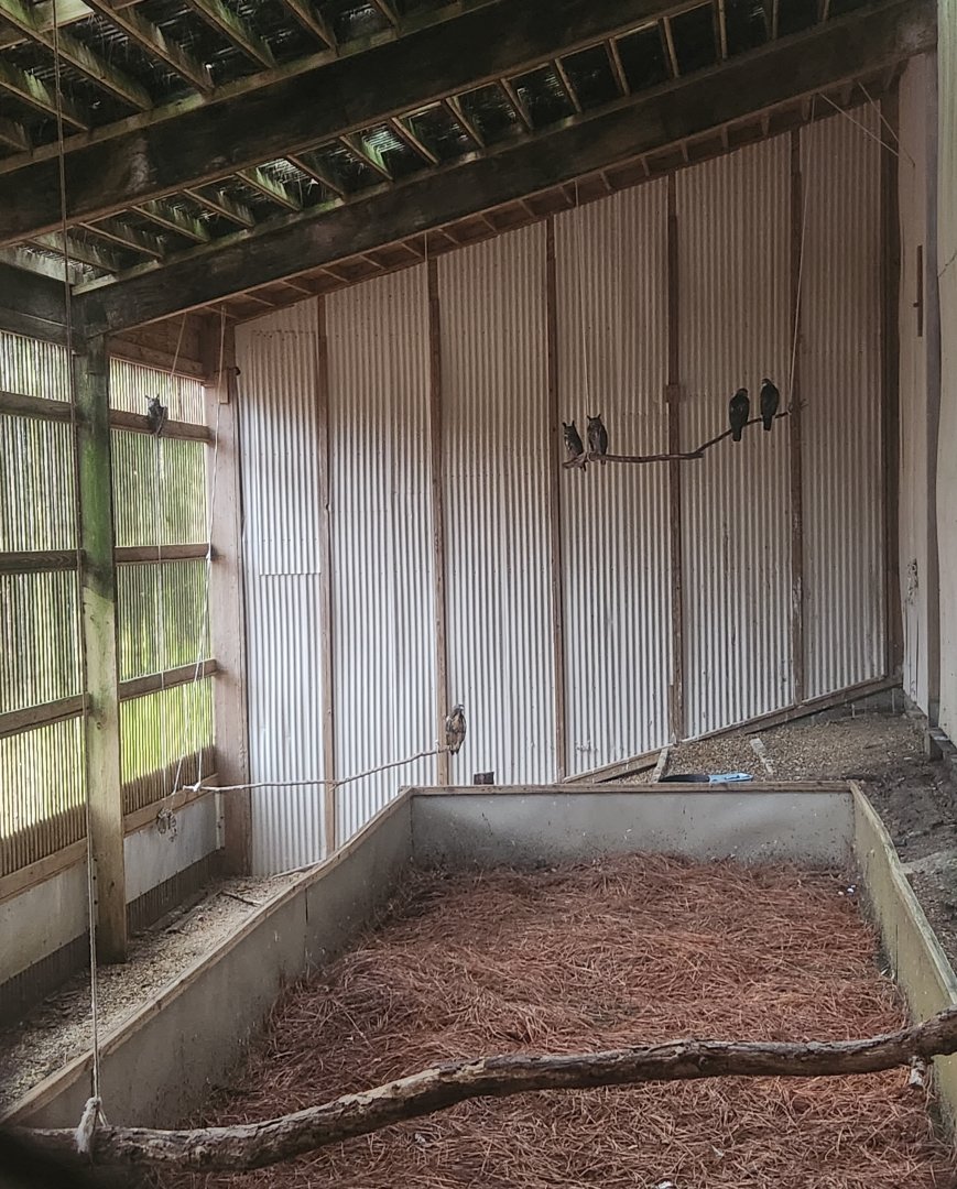 Alabama Wildlife Center - Inside the Freedom Flight barn