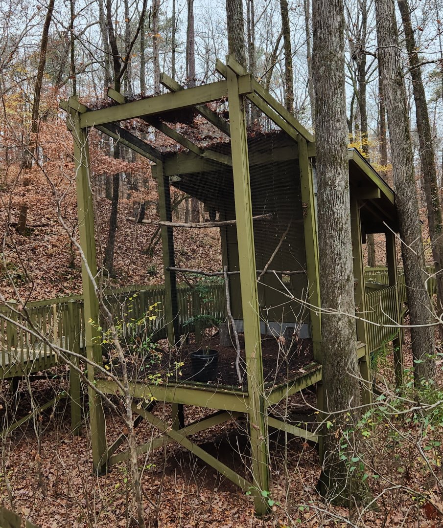 Alabama Wildlife Center - Treetop Nature Trail exhibit