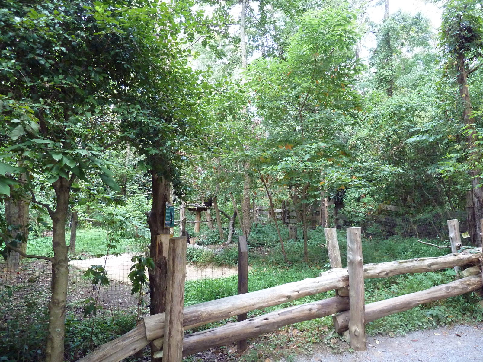 Alabama Wilds - Bald Eagle Exhibit