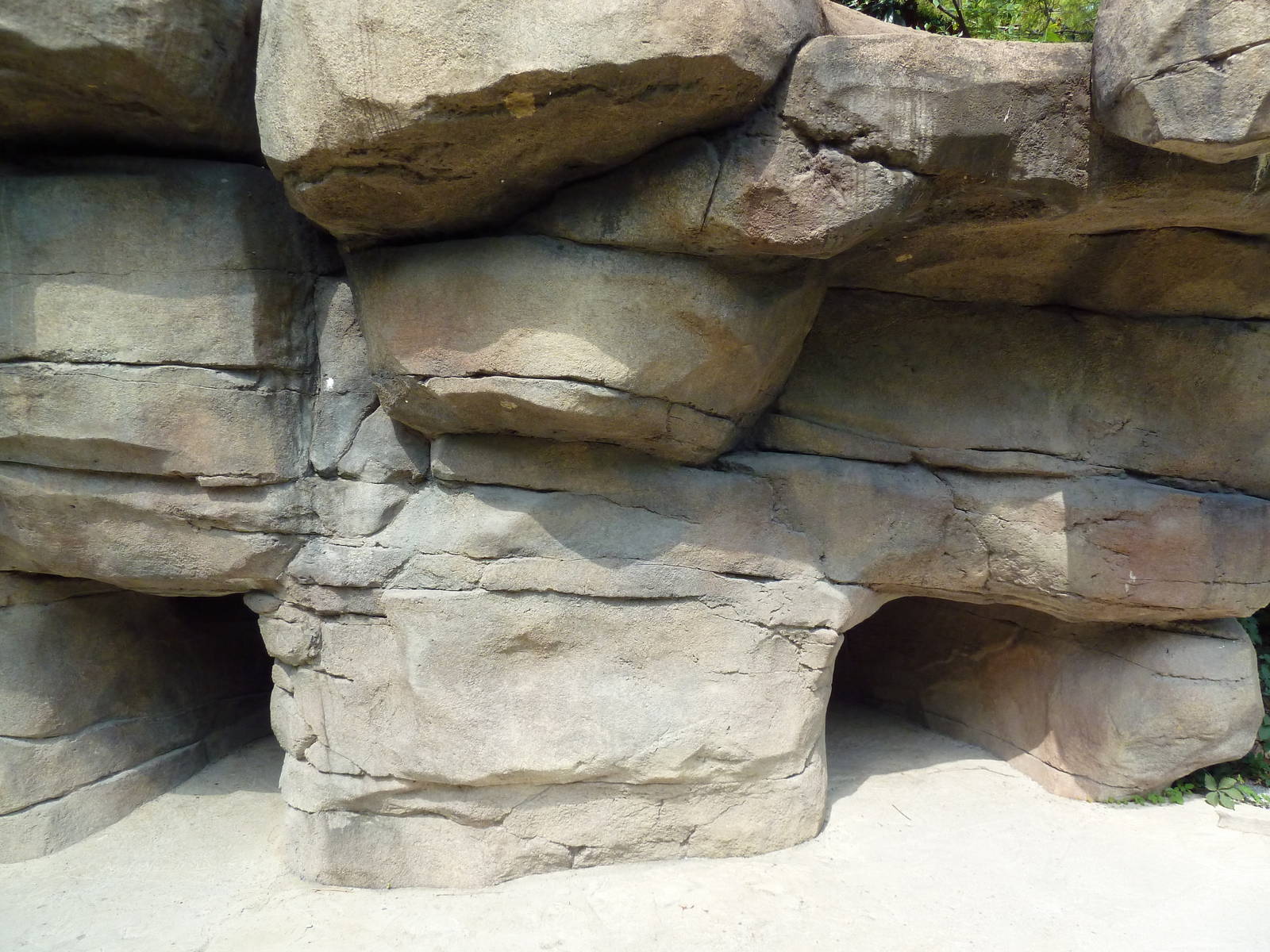 Alabama Wilds - Beaver Exhibit - Viewing Area