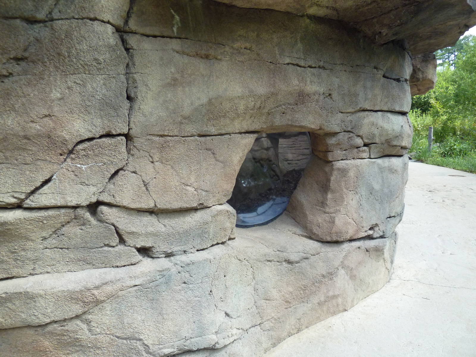 Alabama Wilds - Beaver Exhibit - Viewing Area