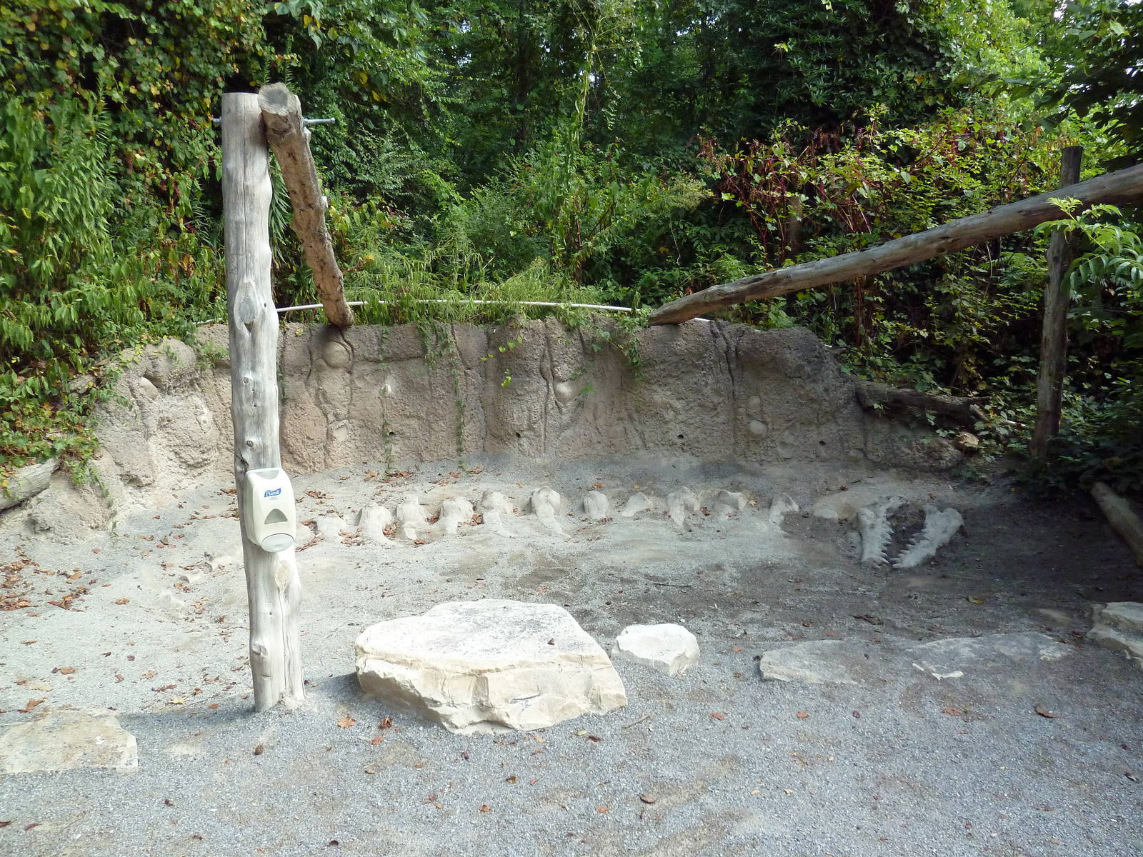 Alabama Wilds - Dig Site