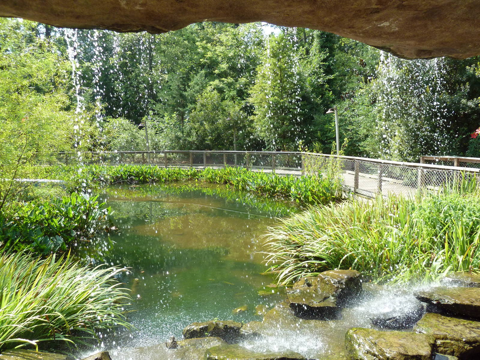 Alabama Wilds - Marsh