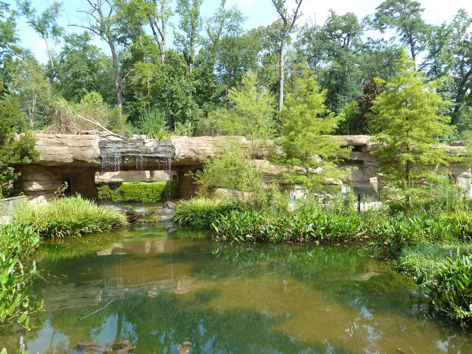 Alabama Wilds - Marsh