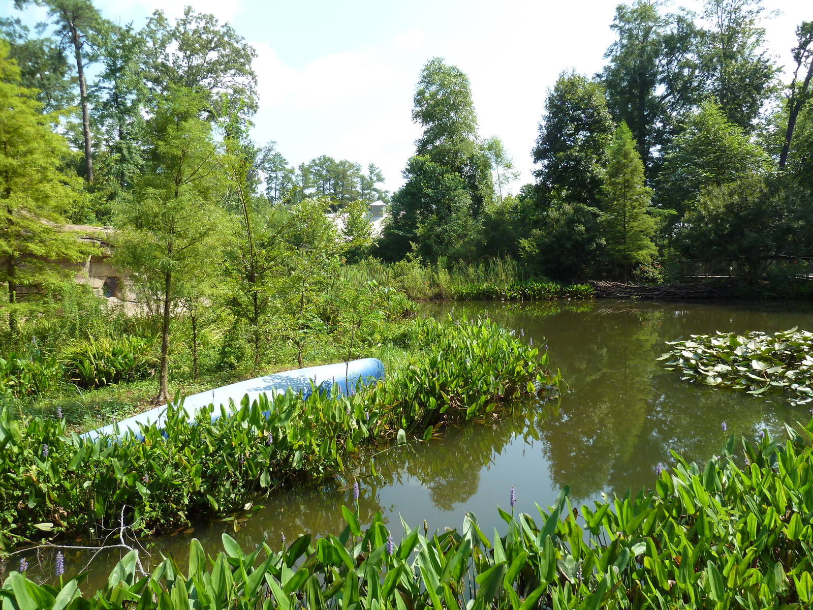 Alabama Wilds - Marsh