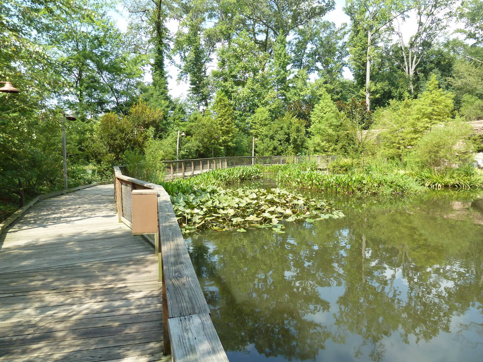 Alabama Wilds - Marsh