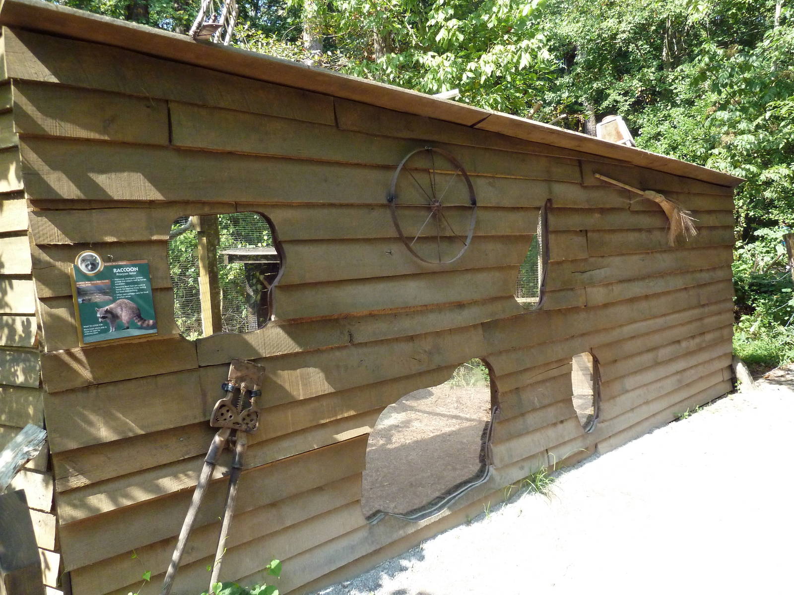 Alabama Wilds - Raccoon Exhibit