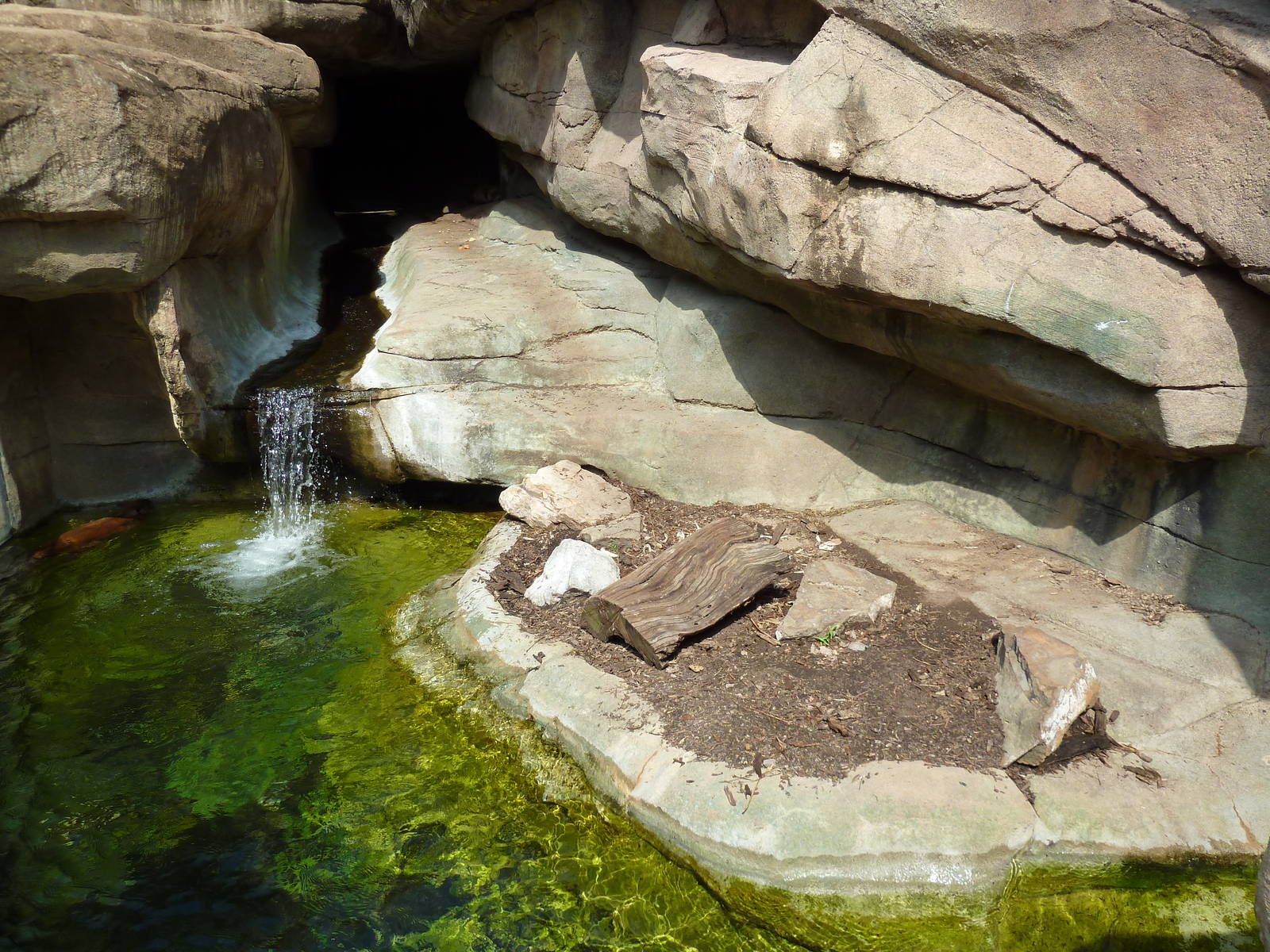 Alabama Wilds - River Otter Exhibit