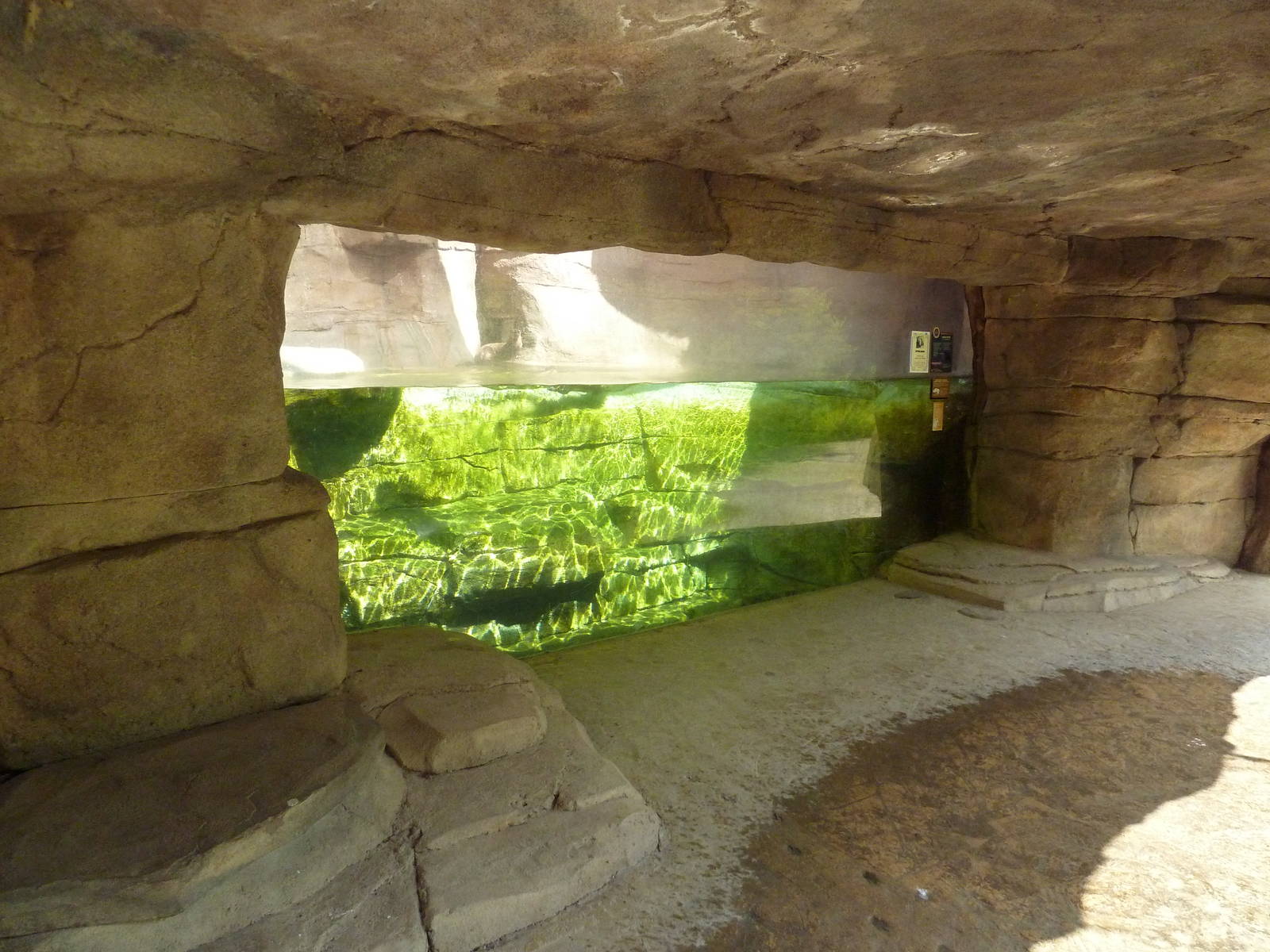 Alabama Wilds - River Otter Exhibit