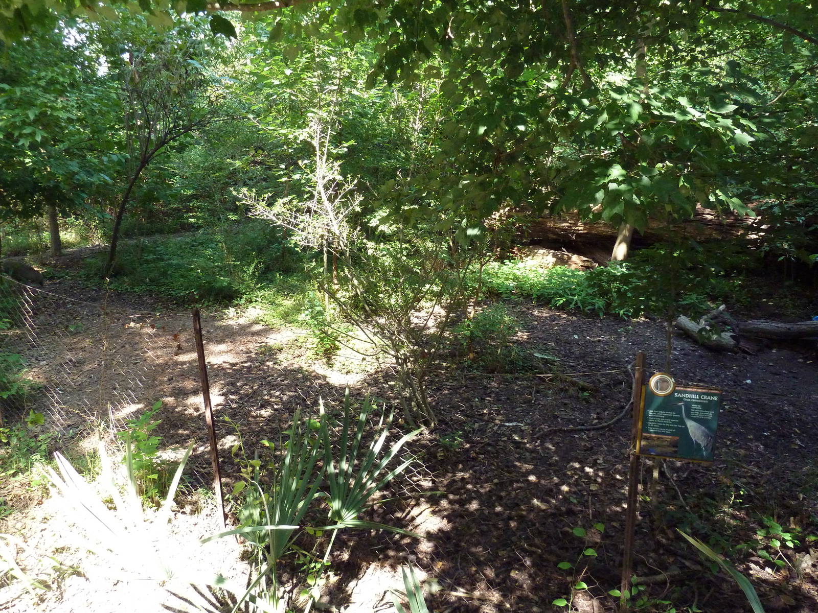 Alabama Wilds - Sandhill Crane Exhibit