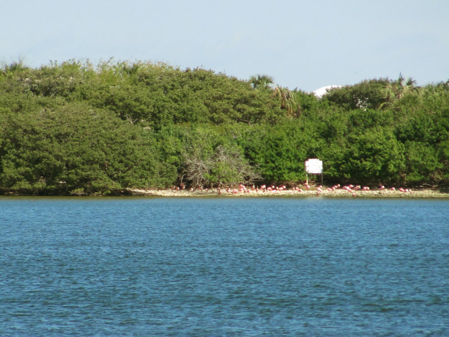 Alafia Banks Bird Sanctuary
