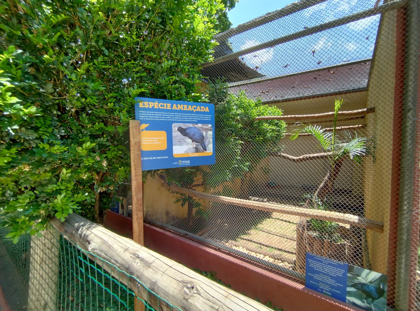 Alagoas curassow exhibit  - Belo Horizonte zoo
