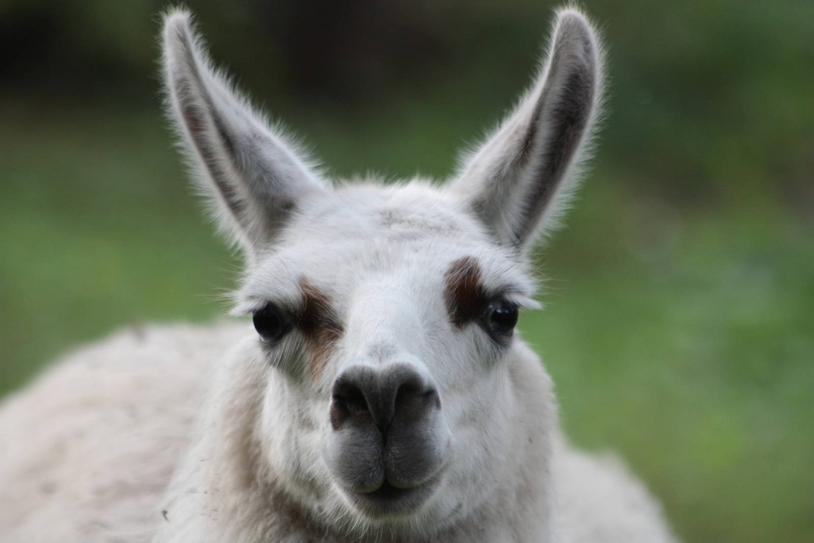 Alana, 28th September 2014