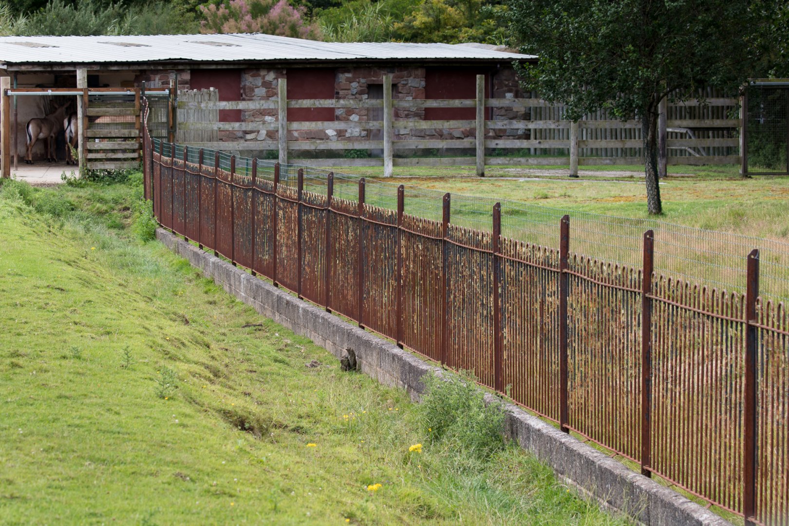 Alan's Fence - 26/07/2017