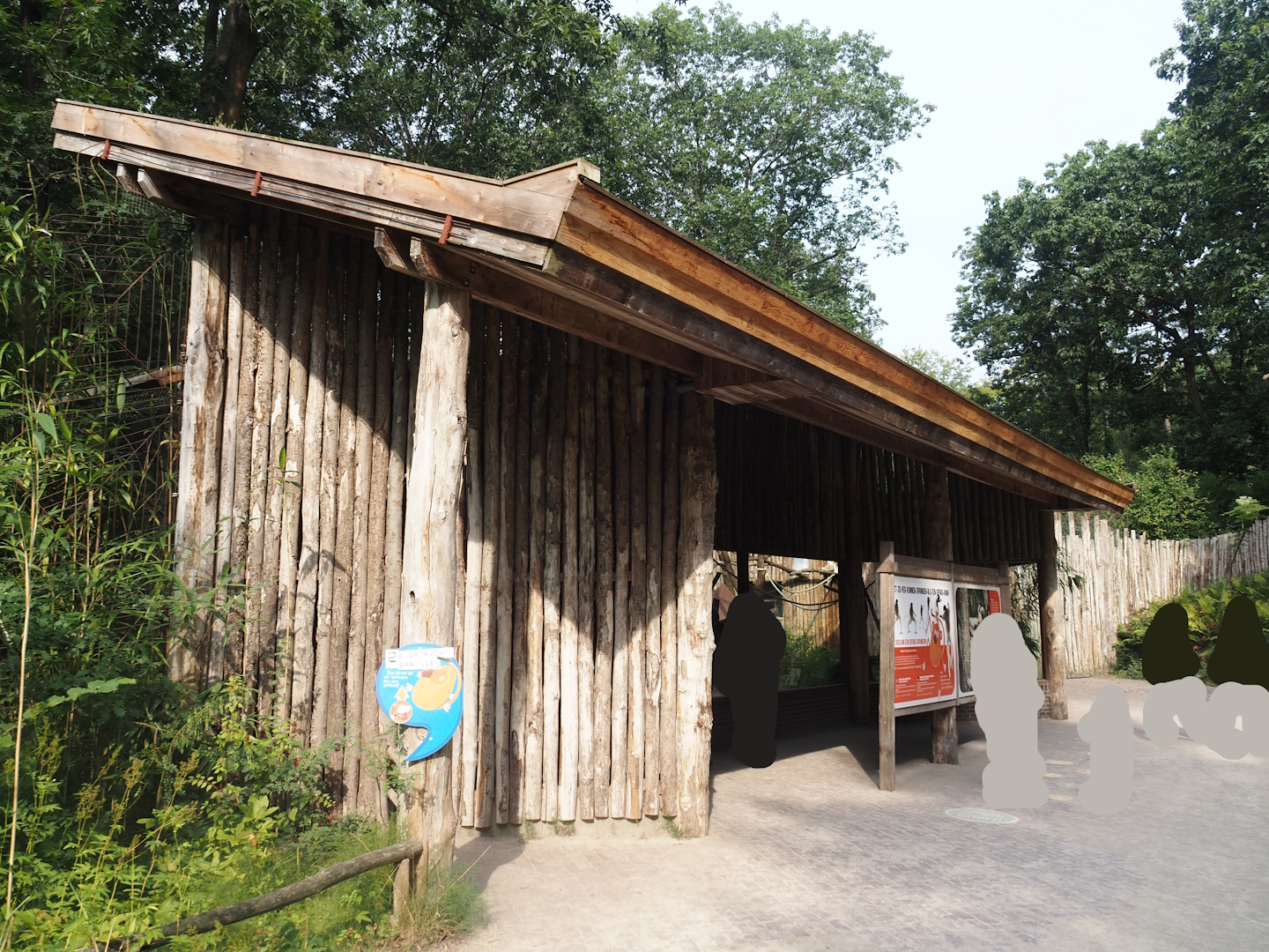 Alaotra bamboo lemur and Crowned sifaka viewing area, 2024-08-18