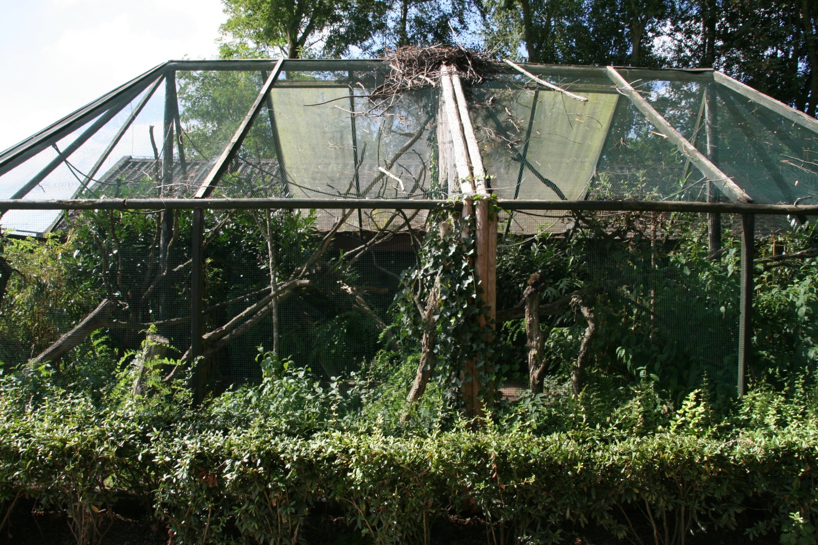 Alaotra bamboo lemur enclosure